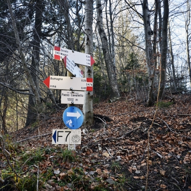 Passo del cavalletto