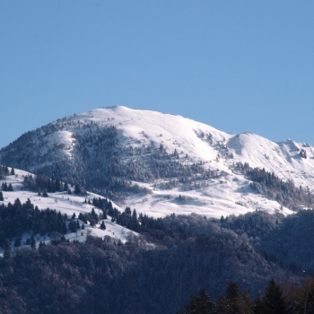 Monte Ario
